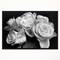 Designart - Bunch of Roses Black and White - Floral Art Framed Canvas Print